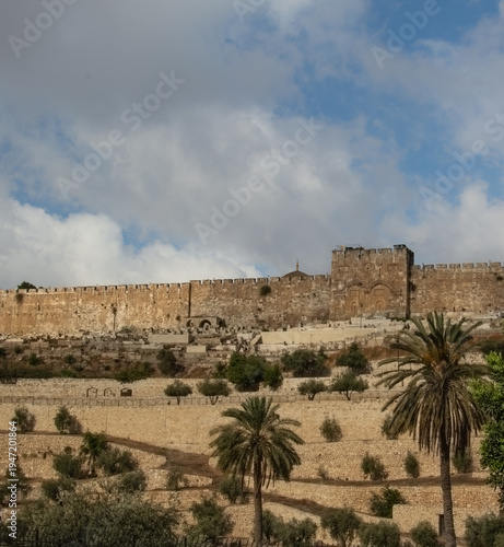 Old City Walls of Jerusalem with Olive Trees and Palm Trees