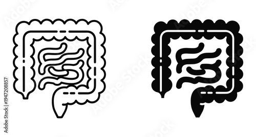 Human intestine and colon icons representing digestive health system anatomy for medical education biology science and healthcare wellness graphic design