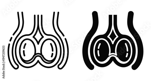 Male reproductive system anatomy icon set showing testicles and scrotum in outline and solid black style for medical education
