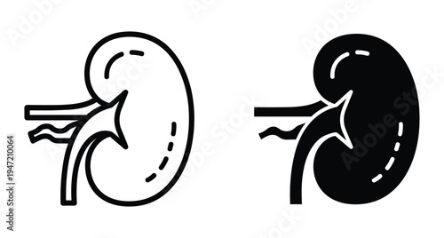 Human kidney organ icon set with outline and solid black silhouette styles for medical healthcare and anatomy education design