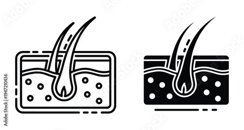 Hair follicle anatomy icon set showing skin layers root and bulb for dermatology medical healthcare and scalp treatment education