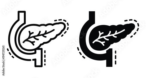 Pancreas and duodenum organ icons in line and solid style for medical anatomy digestive system health and biology education graphics