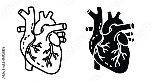 Human heart anatomical icon set with outline and solid black silhouette styles for medical healthcare science and biology education design