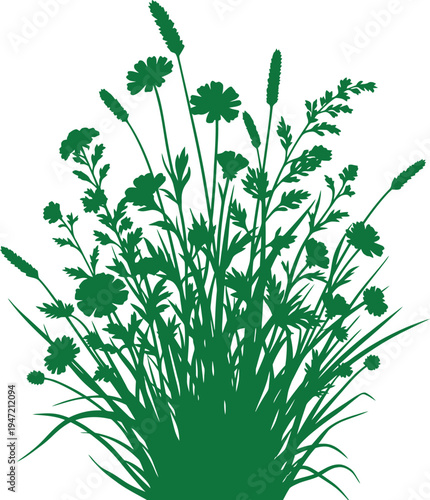 Green grass and wildflowers illustration