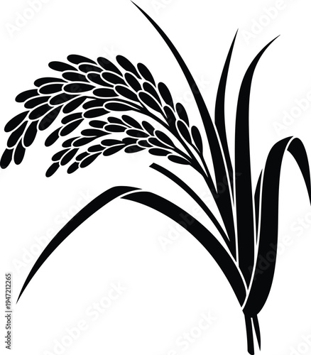Black and white illustration of a rice plant