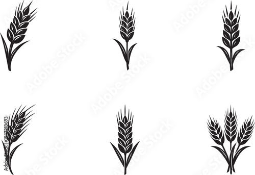 Wheat icon set with grain, cereal, rye ears and harvest stalk symbols in flat and thin line style.