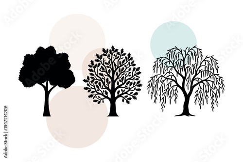 Silhouette set of oak and weeping willow trees with detailed branches and spring foliage. Nature elements for landscaping and outdoor park design. Botanical vector illustration.