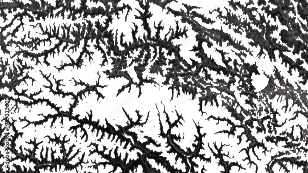 Fototapeta premium Dried river bed cracked earth texture showing organic root like branch patterns for environmental concept art