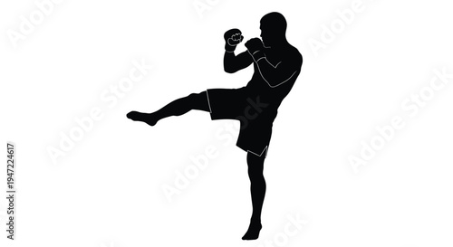 Silhouette of a martial artist executing a dynamic kick showcasing strength and agility