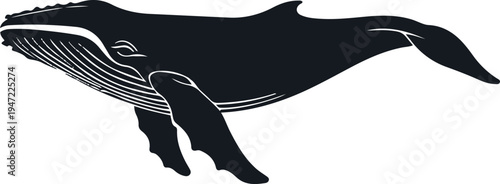 minimal humpback whale silhouette with subtle body lines, modern vector illustration design, isolated on white background