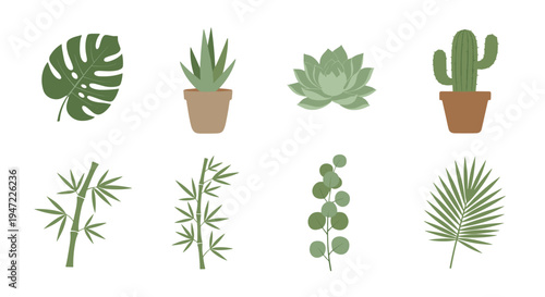 A set of eight different plant species in a minimalist vector graphic illustration on transparent background