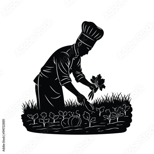 Chef silhouette harvesting fresh vegetables in garden