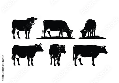 Set of 6 black cow silhouettes vector