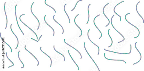 Abstract fluid lines and swirls creating a sense of movement and organic flow on a clean background, artistic design elements