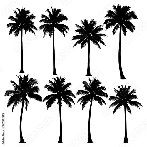 Palm Tree Silhouette Set – Tropical Beach Coconut Tree Vector Icon Collection
