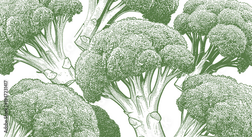 Broccoli in Vintage Halftone Style Illustration