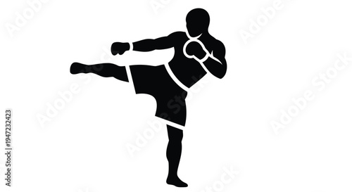 Black silhouette of a martial artist executing a dynamic kick in profile