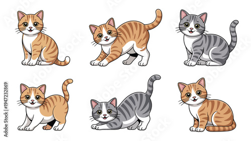 Collection of Cute Domestic Cats in Different Poses Isolated on White Background