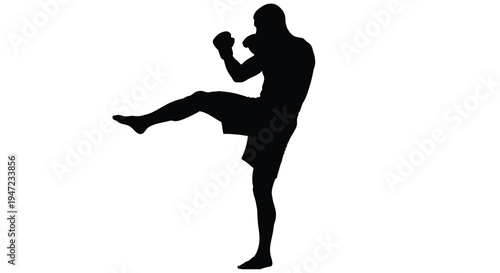Silhouette of a martial artist executing a dynamic kick in mid air