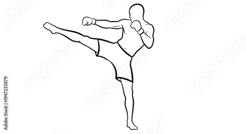 Line art illustration of a martial artist performing a dynamic side kick