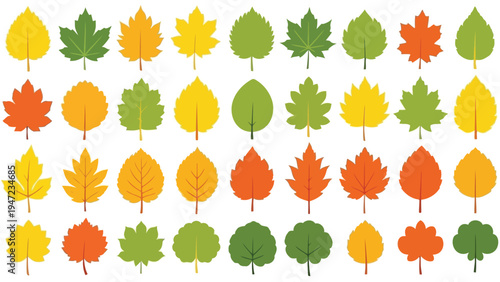 Colorful collection of autumn leaves arranged in a playful grid pattern Vector