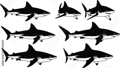 Bird silhouettes in grid layout, dynamic wing positions, flock pattern recognition vector illustration for wildlife, avian motion, nature, and artistic design concepts