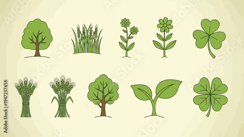 Collection of stylized illustrations depicting various types of trees and plants Vector