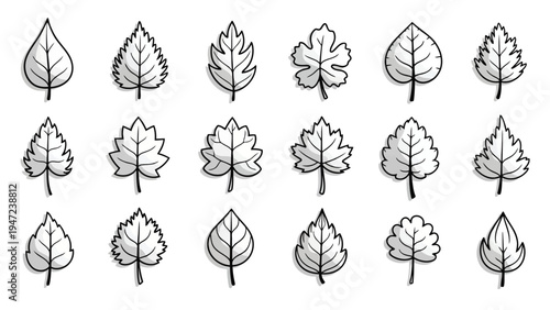 Intricate geometric patterns resembling stylized leaf and snowflake designs in monochrome Vector