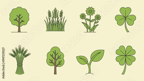 Illustrations of various trees in different stages and styles of growth Vector