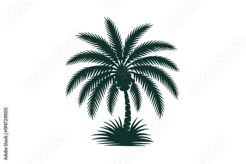 Lush tropical palm tree silhouette with dense foliage and undergrowth representing warm climate island vacation or exotic nature scenery graphic