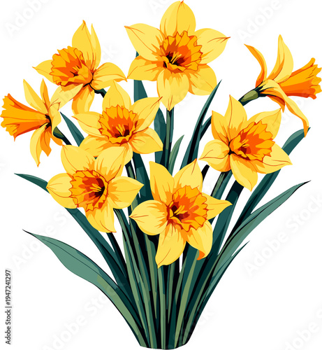 Yellow daffodil flowers bouquet illustration, spring narcissus floral composition, botanical garden flowers clipart isolated on white background