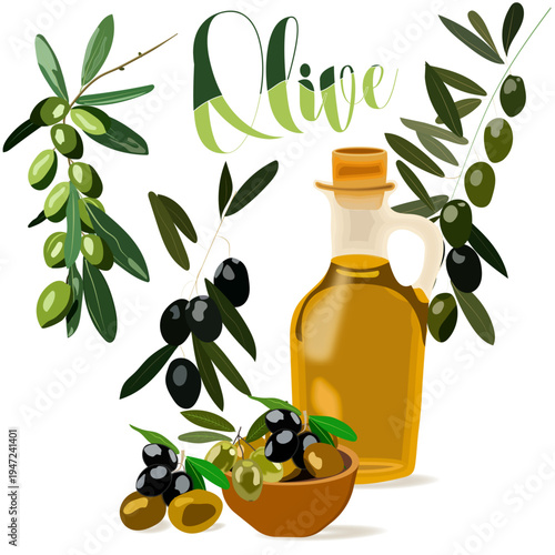 Olive oil and branches vector set with lettering