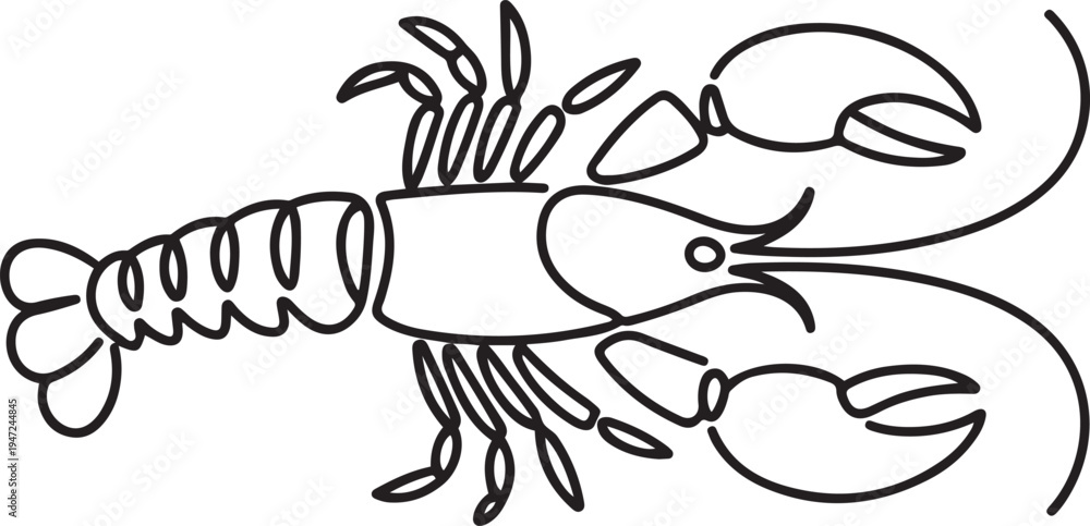 Obraz premium One continuous line art drawing of lobster, crayfish. One line draw graphic design vector