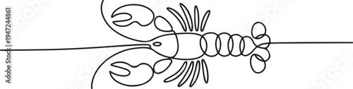 One continuous line art drawing of lobster, crayfish. One line draw graphic design vector