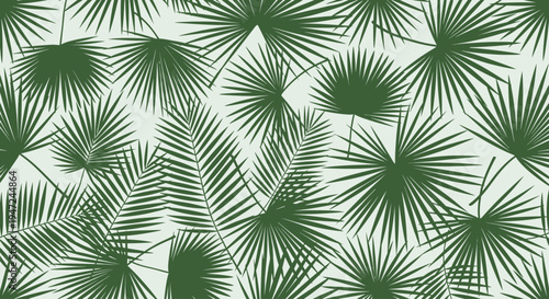 Palm leaves on white background.