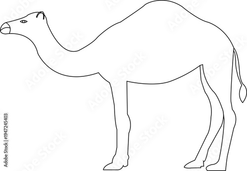 Simple Black and White Outline Vector Illustration of a Dromedary Camel Standing, Ideal for Coloring Books, Educational Materials, or Desert-Themed Designs