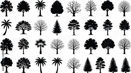Collection of diverse black tree silhouettes, vector illustration of deciduous, coniferous, palm trees, leafless branches, foliage shapes, flat vector illustration