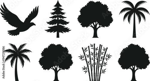 Collection of eight silhouettes, vector illustration of bird, palm, conifer, bamboo, broadleaf deciduous trees with diverse foliage styles, flat vector illustration
