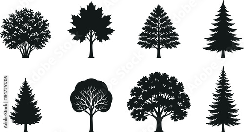 Collection of eight tree silhouettes, vector illustration of pine, maple, conifer, deciduous, broadleaf trees with diverse foliage styles, flat vector illustration
