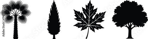 Collection of four tree and leaf silhouettes, vector illustration of palm, conifer, maple leaf, deciduous tree, flat vector illustration