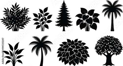 Collection of nine tree and plant silhouettes, vector illustration of palm, conifer, broadleaf, bamboo, bird in flight, flat vector illustration