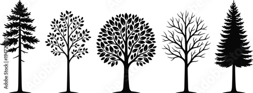 Collection of five tree silhouettes, vector illustration of coniferous and deciduous trees with varied foliage and branching styles, flat vector illustration