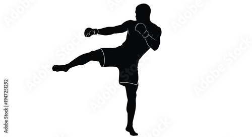 Silhouette of a boxer mid kick demonstrating martial arts technique and athleticism