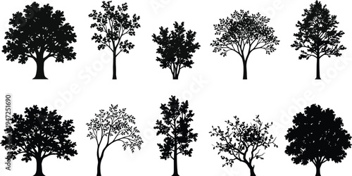 Tree silhouette illustration set, diverse icons including stylized, naturalistic, leafless and dense foliage forms representing forest theme - flat vector illustration