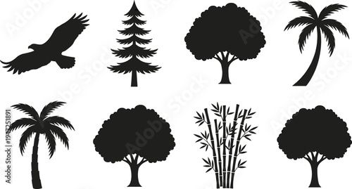 Collection of bird and tree silhouettes, vector illustration of eagle, conifer, palm, bamboo, broadleaf trees, natural design elements, flat vector illustration