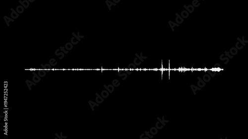 Premium white line audio waveform on black background, digital sound spectrum animation, high frequency visualization, abstract music rhythm pulse, professional audio visualizer, 4k