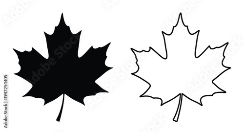 Two maple leaves one dark and one light in a striking silhouette