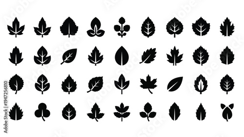 Diverse collection of ancient and mystical symbols from various cultures and traditions Vector