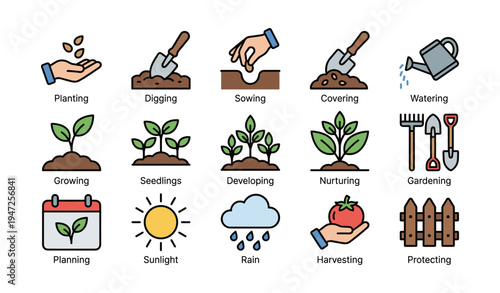 Gardening process icons illustrating planting, growing, and harvesting techniques