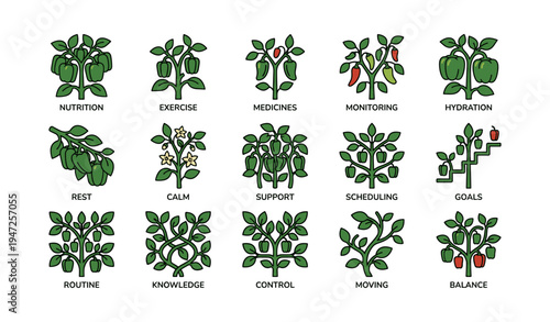 Wellness icons: nutrition, exercise, rest, balance, knowledge